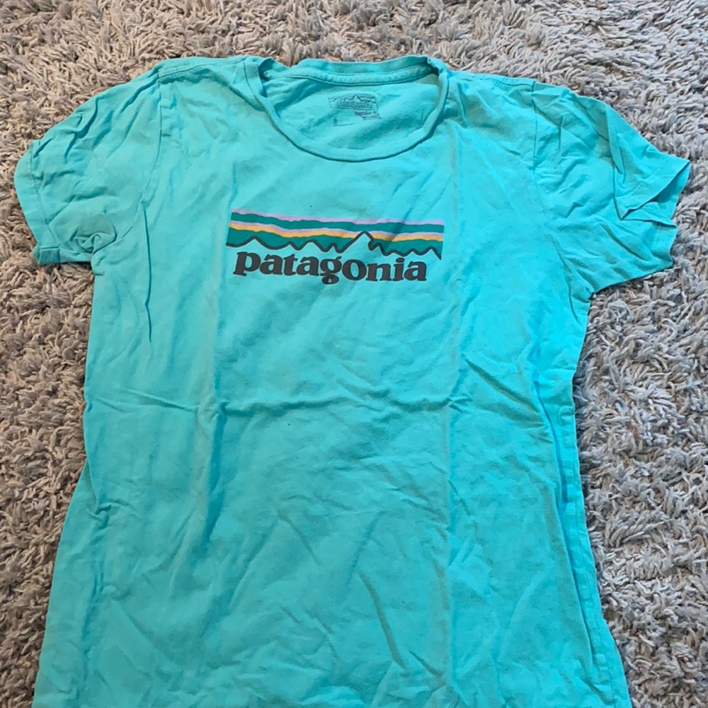Patagonia T shirt